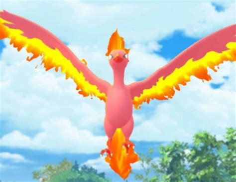 The shiny form has a pinky-purple body as well as red eyes and a shadowy aura native to Shadow Pokémon. Typing Shadow Moltres is a Fire- and Flying-type legendary Pokémon.Since Fire and Flying ...